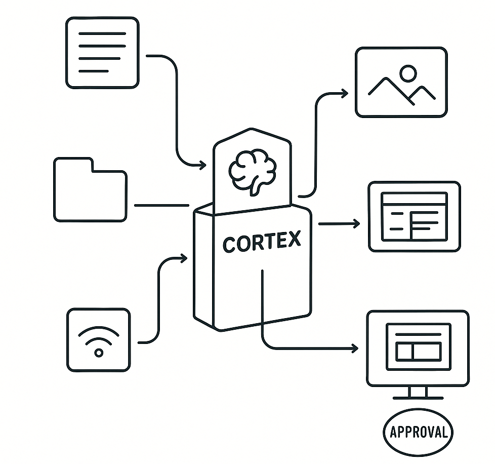 Cortex 1 Cortex 1 HIA