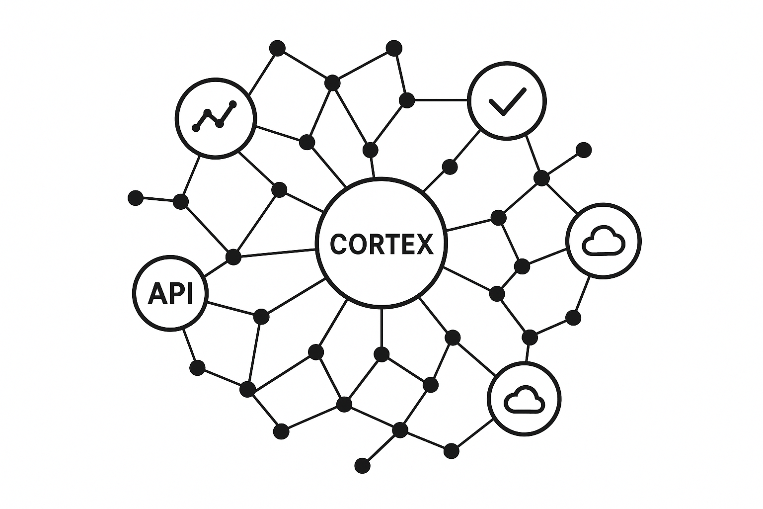 Cortex 2 Cortex 2 Highfield